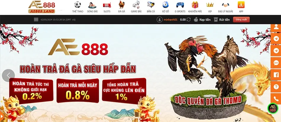 Đá Gà AE888 – Sân Chơi Đỉnh Cao Cho Giới Mê Gà Chọi