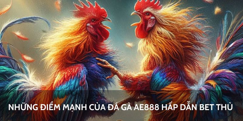 Xem livestream đá gà chất lượng full HD