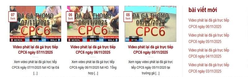 Bồ Gà CPC6 Là Gì? Tại Sao Đây Là Đấu Trường Đỉnh Cao Tại Thomo?