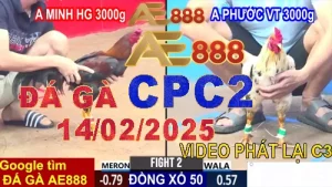 Video Xem lại Đá Gà Thomo CPC2 Hôm Nay 14/2/2025