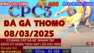 [CPC3] Xem Lại Đá Gà Thomo C3 Ngày 8/3/2025