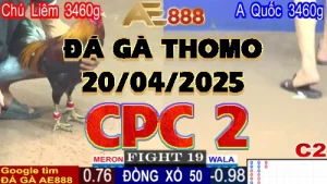 Video Phát Lại Đá Gà Trực Tiếp 20/04/2025