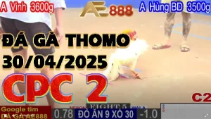 Clip Đá Gà Thomo CPC2 - Ngày 30/04/2025