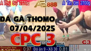 VIDEO Phát lại Đá Gà C3 Ngày 07/04/2025