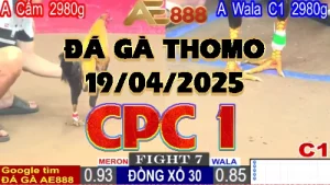 Clip Đá Gà Trực Tiếp CPC1 ngày 19/04/2025