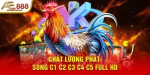 Chất lượng phát sóng C1 C2 C3 C4 C5 full HD