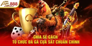 Chia sẻ cách tổ chức đá gà cựa sắt chuẩn chỉnh