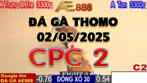 Xem lại Đá gà thomo C2 ngày 02/05/2025
