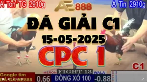 Phát Lại Video Đá Giải C1 Gà Thomo Ngày 15/05/2025
