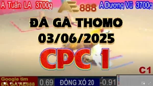 Video phát lại đá gà trực tiếp CPC1 ngày 03/06/2025