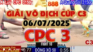 GÀ ĐÁ GIẢI VÔ ĐỊCH THOMO C3