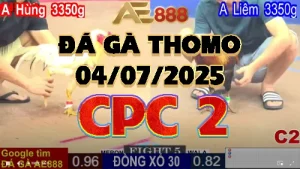 Video phát lại đá gà trực tiếp CPC2 ngày 04/07/2025
