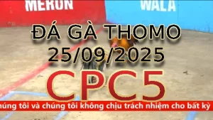 Video phát lại đá gà trực tiếp CPC5 ngày 25 /09/2025