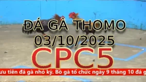 Video phát lại đá gà trực tiếp CPC5 ngày 03/10/2025