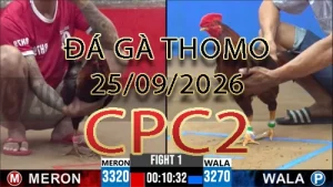 Video phát lại đá gà trực tiếp CPC2 ngày 25092026