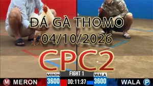Video phát lại đá gà trực tiếp CPC2 ngày 04102026