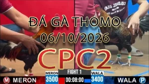 Video phát lại đá gà trực tiếp CPC2 ngày 06102026