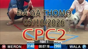 Video phát lại đá gà trực tiếp CPC2 ngày 07102026